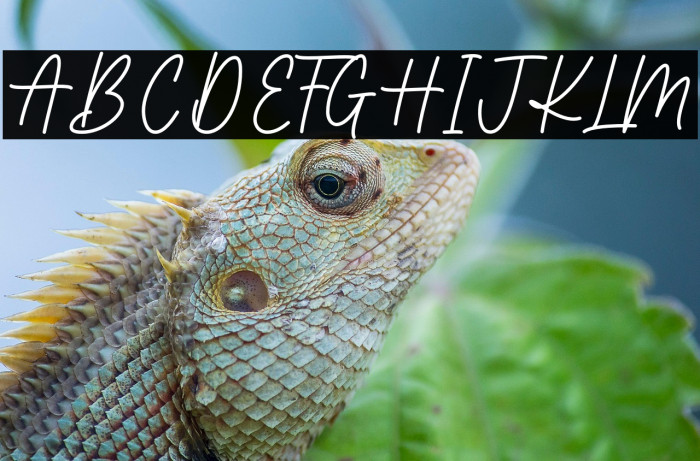 Brilliance Signature Example 2