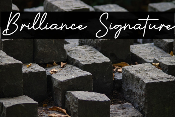Brilliance Signature Example 1