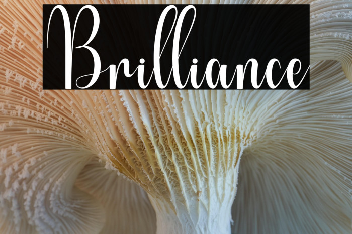 Brilliance Example 2