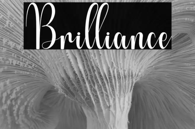 Brilliance Font examples
