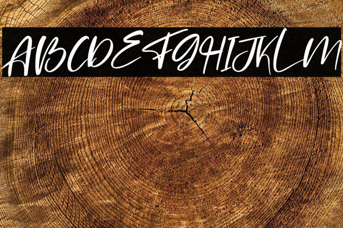 Brilliant Castelo Italic Example 3