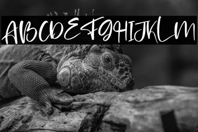 Brilliant Castelo Font examples