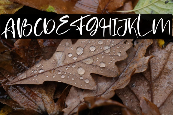 Brilliant Castelo Example 3