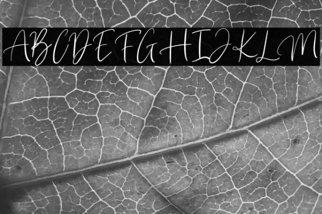 Brilliant Classy Font examples