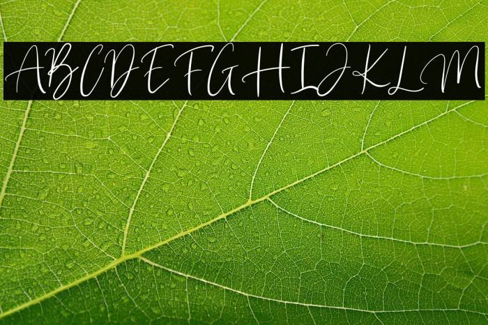 Brilliant Classy Example 3