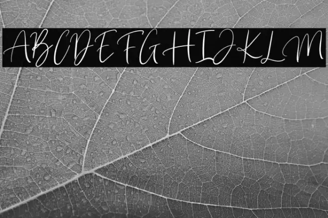 Brilliant Classy Font examples