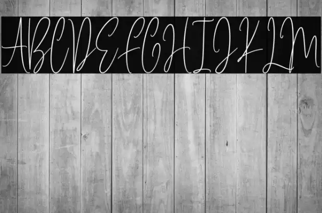 Brilliant Elegant Font examples