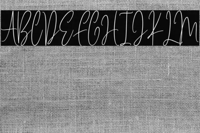 Brilliant Elegant Font examples