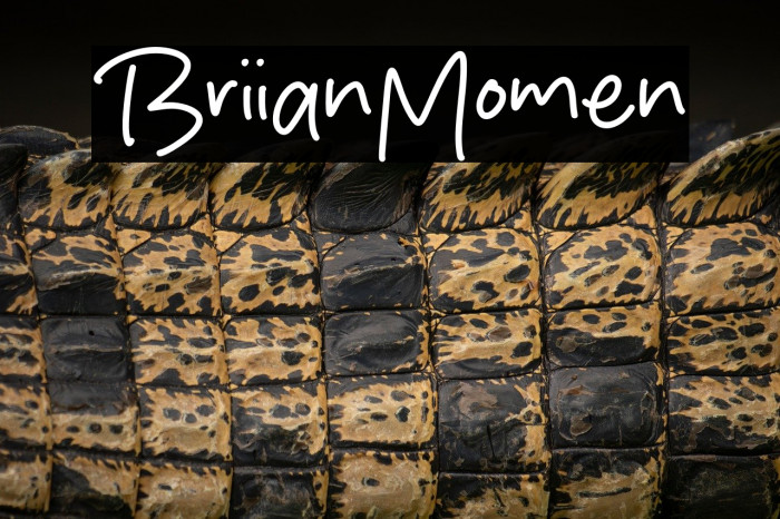 Brilliant Moment Example 3