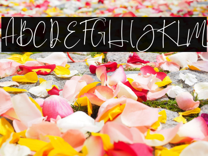 Brilliant - Personal Use Example 3