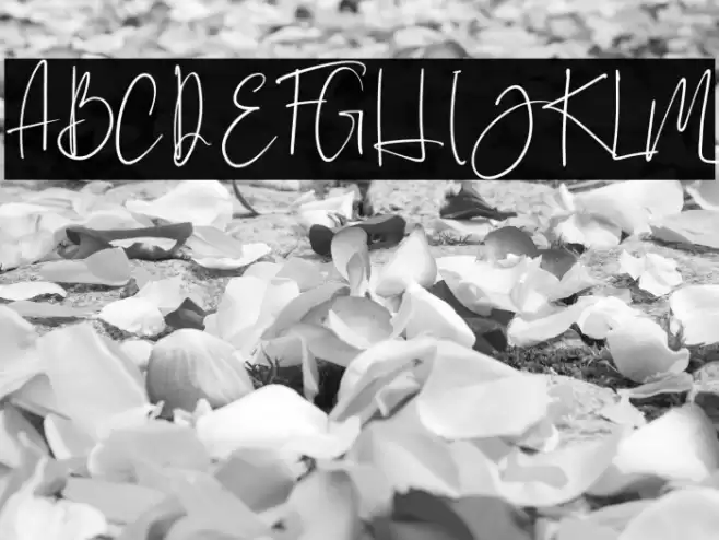 Brilliant - Personal Use Font examples