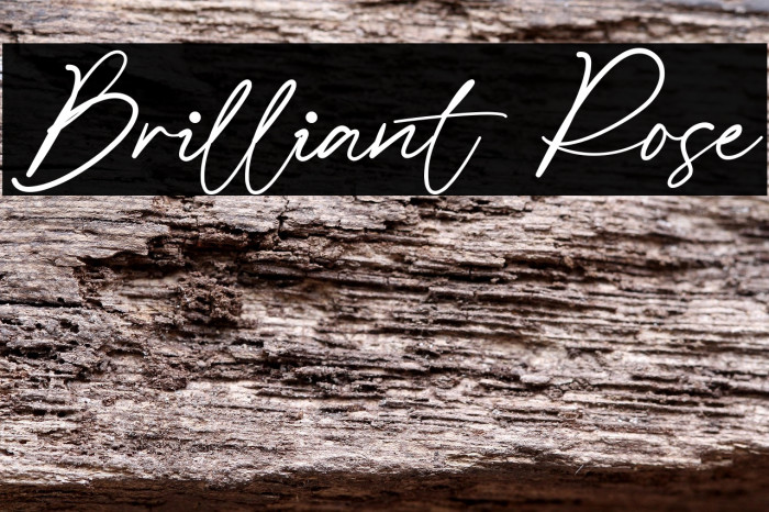 Brilliant Rose フォント examples