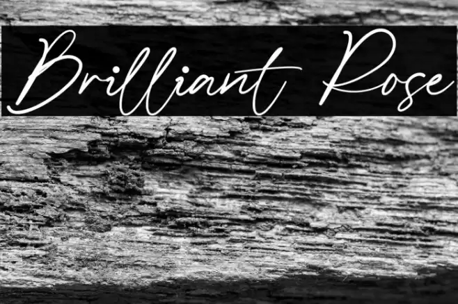 Brilliant Rose Font examples