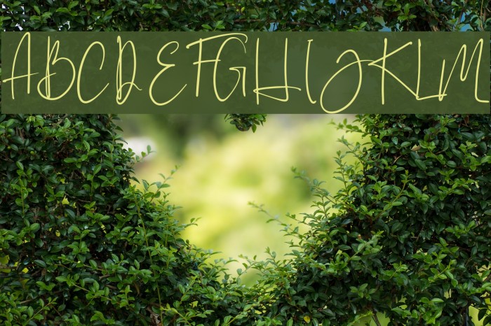 Brilliant Signature 1 Regular Font examples