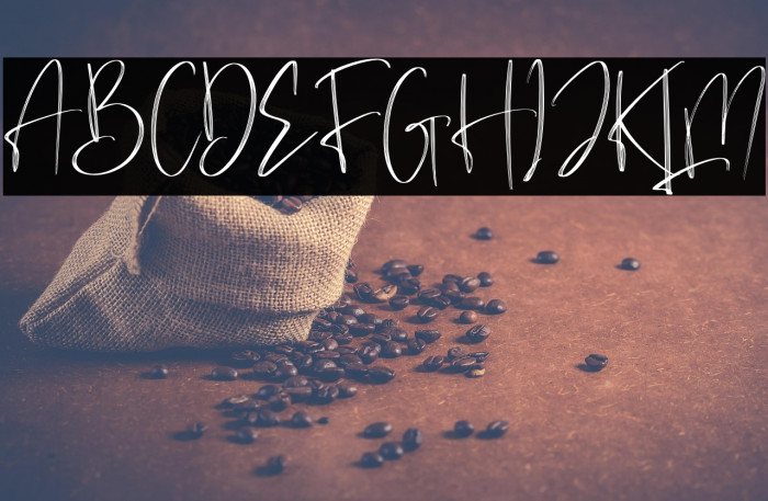 Brilliant Signature Example 3