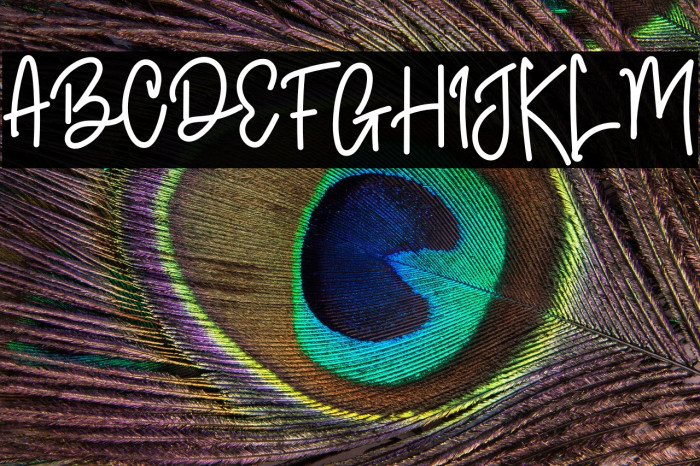 Brilliant Signature Example 1