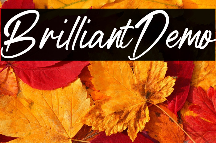 BrilliantDemo Example 3