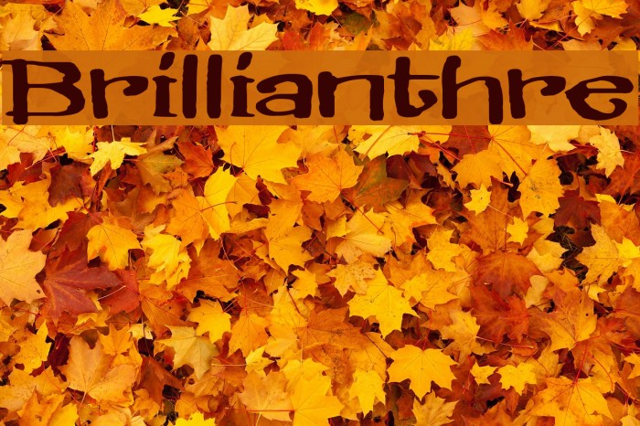 Brillianthre Шрифта examples