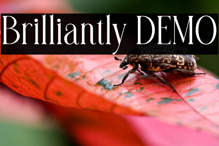 Brilliantly DEMO Example 1