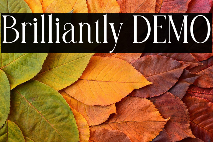 Brilliantly DEMO Example 3