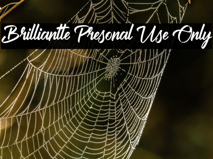 Brilliantte Presonal Use Only Example 2