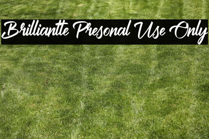 Brilliantte Presonal Use Only Example 3