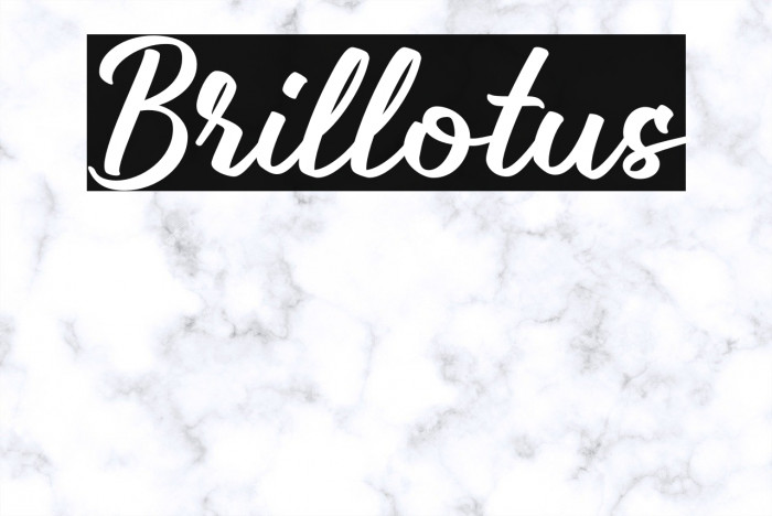 Brillotus Example 1