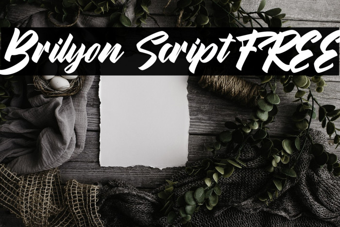 Brilyon Script FREE Example 1