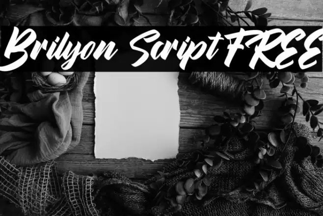 Brilyon Script FREE Font examples
