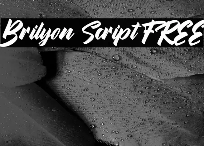 Brilyon Script FREE Font examples