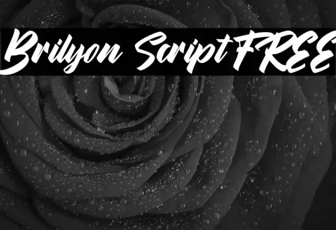 Brilyon Script FREE Font examples