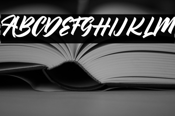 BrilyonScriptFREE Example 3