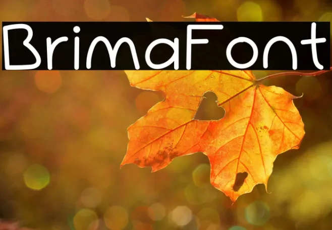 Brima Example 1