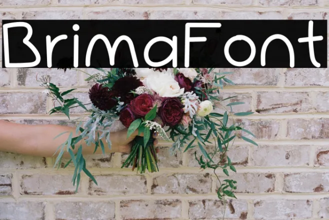 Brima Example 3