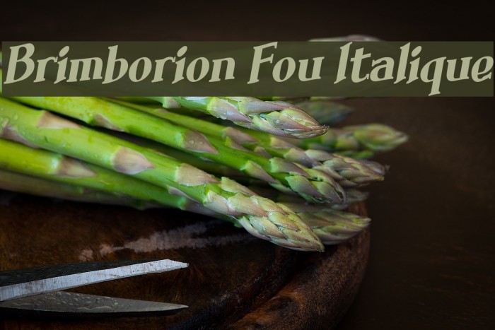 Brimborion Fou Italique Example 2