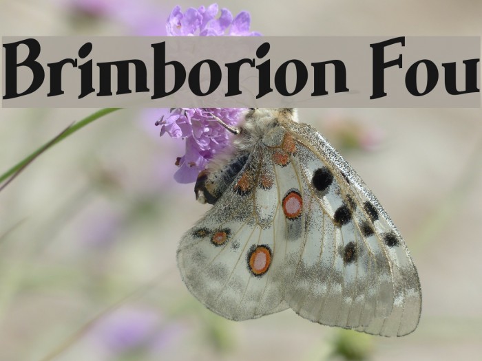 Brimborion Fou Font examples
