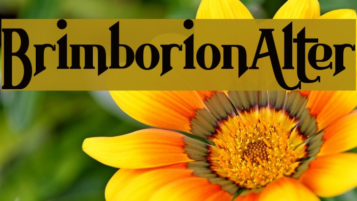 BrimborionAlter Example 1