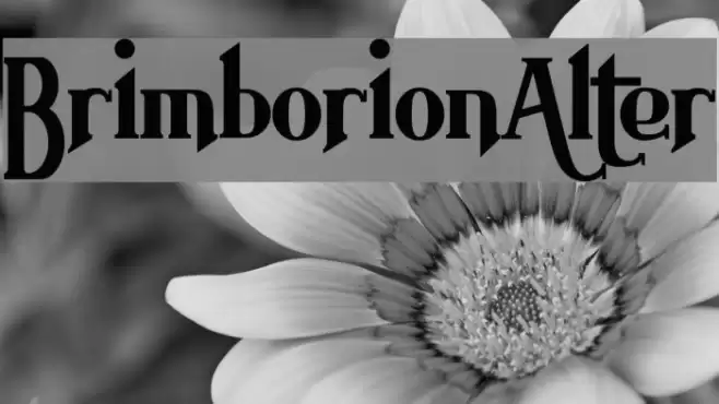 BrimborionAlter Font examples