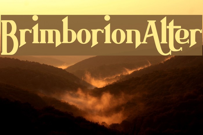 BrimborionAlter Example 3