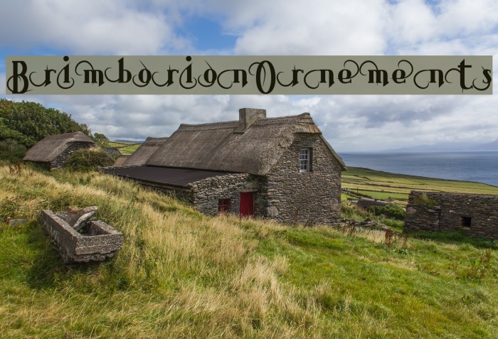 BrimborionOrnements Font examples