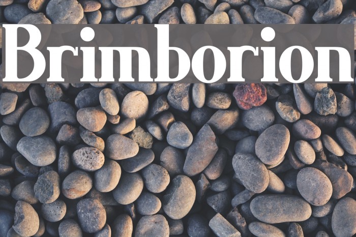 Brimborion Example 1