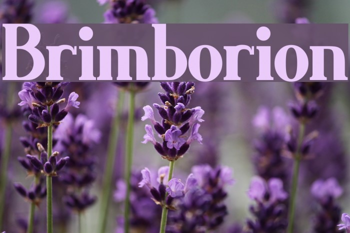 Brimborion Example 2