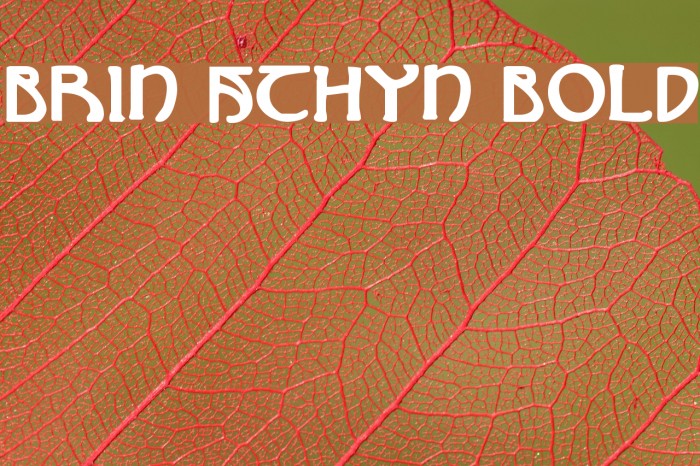 Brin Athyn Bold Font examples