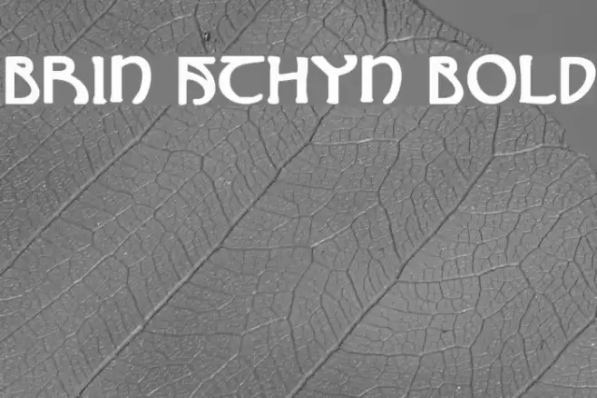 Brin Athyn Bold خط examples