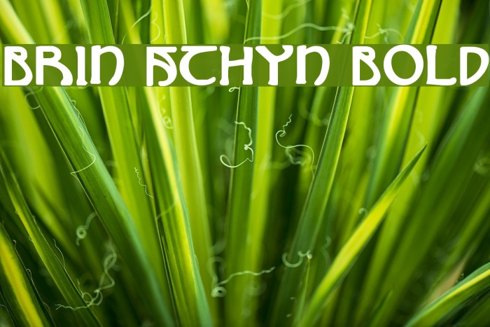 Brin Athyn Bold Font examples