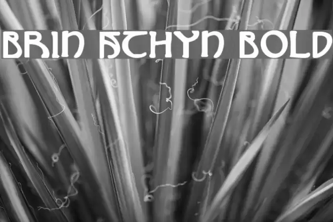 Brin Athyn Bold خط examples