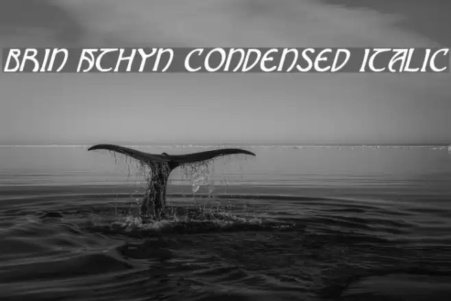 Brin Athyn Condensed Italic Font examples