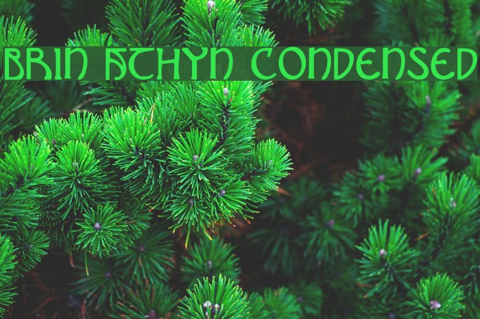 Brin Athyn Condensed Font examples