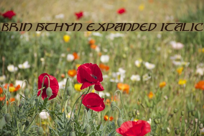 Brin Athyn Expanded Italic Font examples