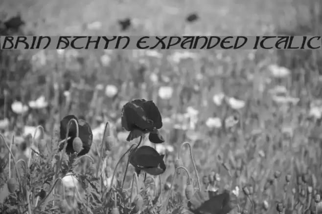 Brin Athyn Expanded Italic Schriftart examples